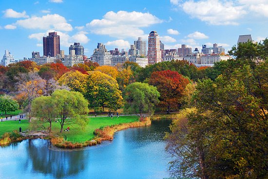 Kumpulan Destinasi Wisata Terbaik New York Untuk Para Travelers